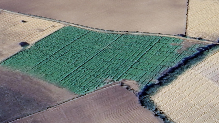 Agricultural Land  for Sale