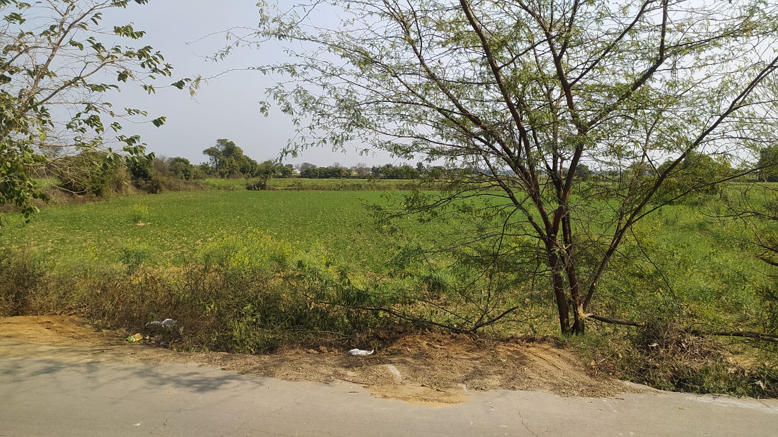Agricultural Land  for Sale
