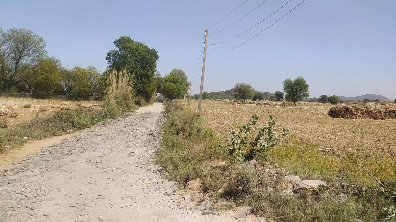 Agricultural Land  for Sale
