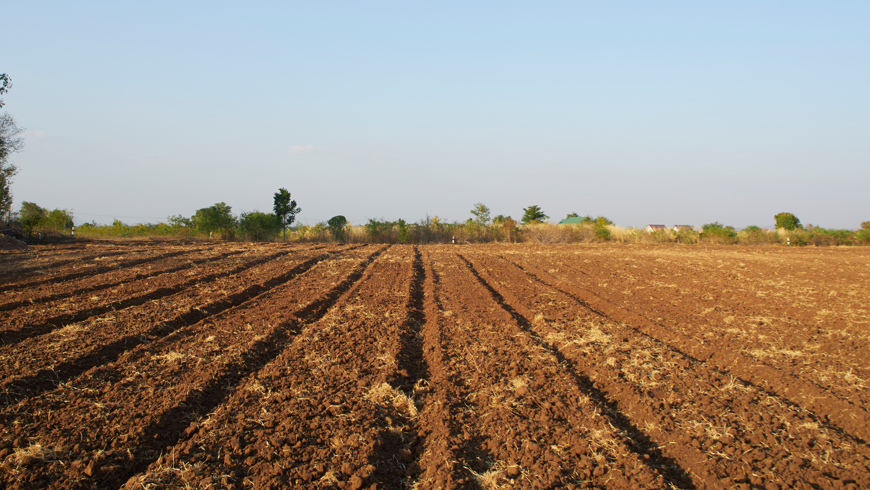 Agricultural Land  for Sale
