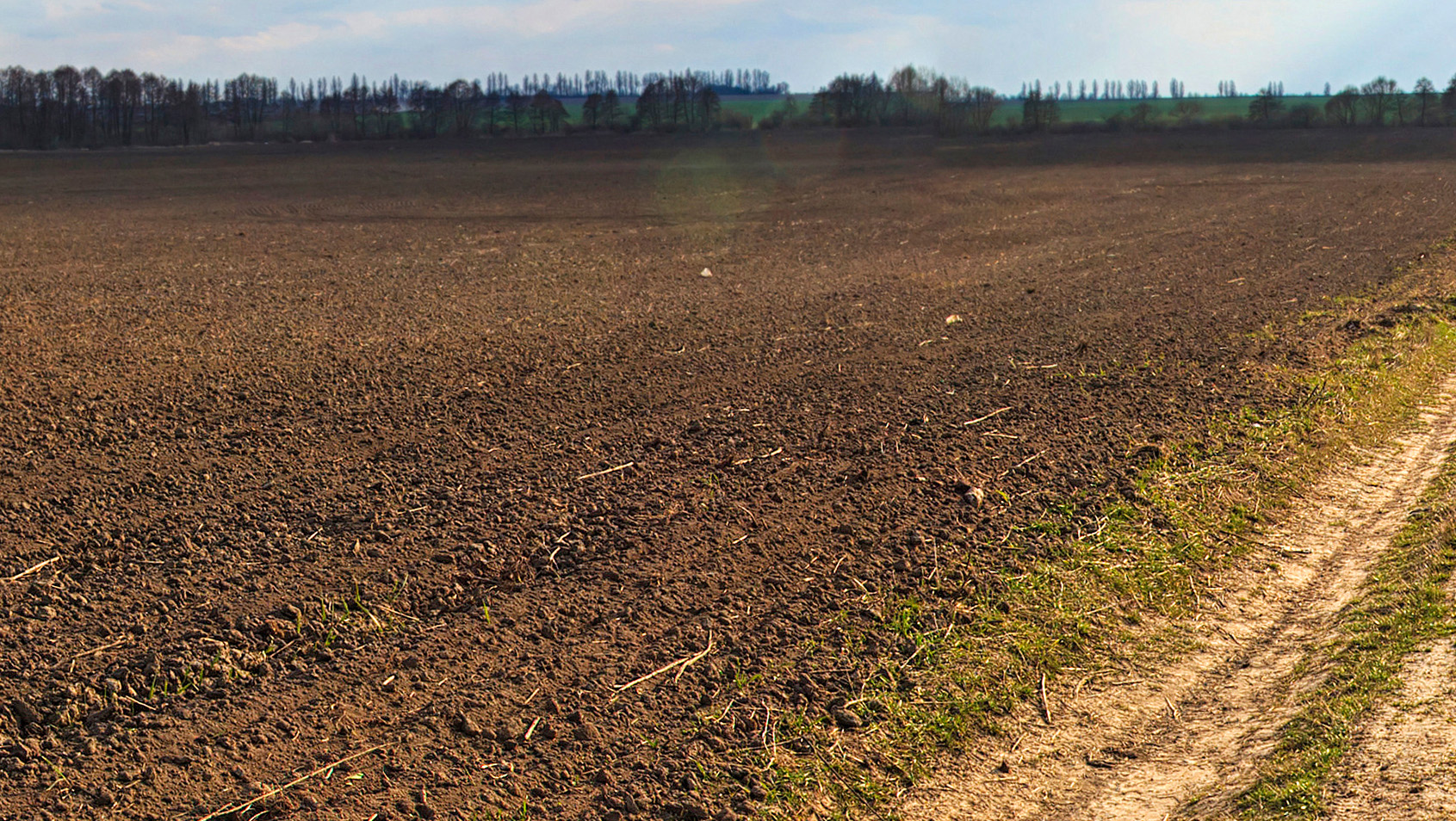 Agricultural Land  for Sale
