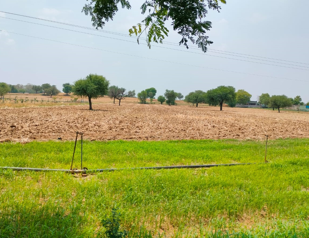 Agricultural Land  for Sale