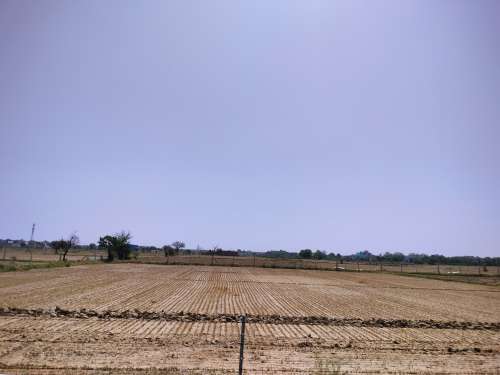Agricultural Land  for Sale