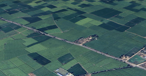 Agricultural Land  for Sale